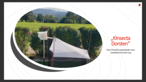 KInsecta Dorsten