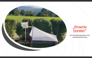 KInsecta Dorsten